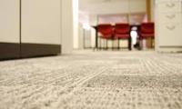 Steamco Carpet & Upholstery Cleaning image 1